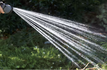 Wasserstrahl aus Gartenschlauch spritzt auf Pflanzen im Garten.