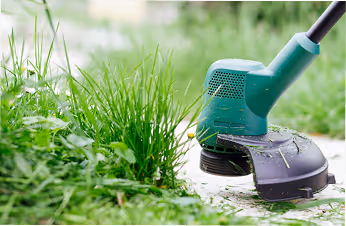 Grüner elektrischer Rasentrimmer schneidet Gras an einem bewachsenen Gartenrand.